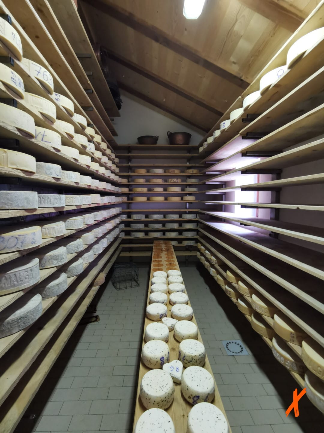 malga-pramosio (4)-min