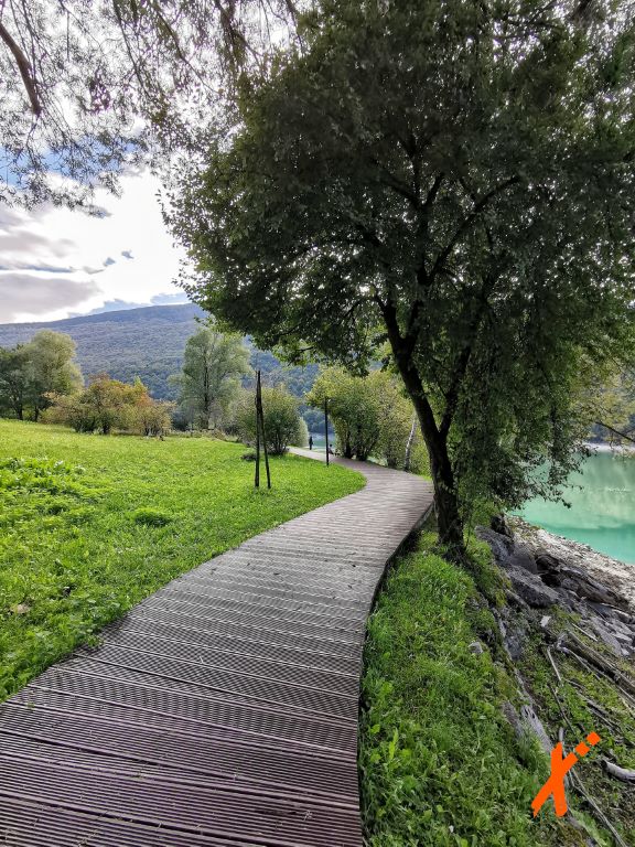 IMG_20211010_113656-01