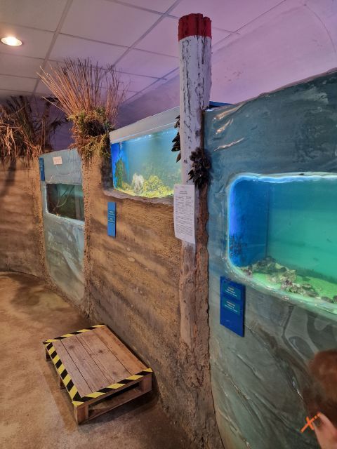 acquario-lagunare-riserva-naturale-valle-canal-novo-explorerfvg (1)