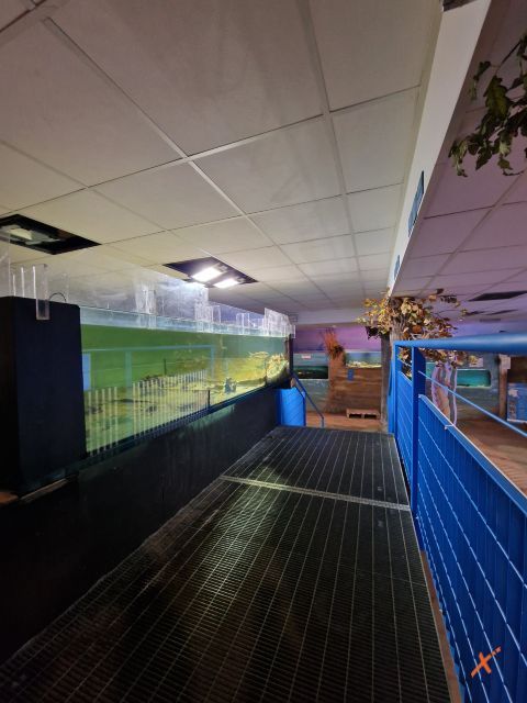 acquario-lagunare-riserva-naturale-valle-canal-novo-explorerfvg (10)