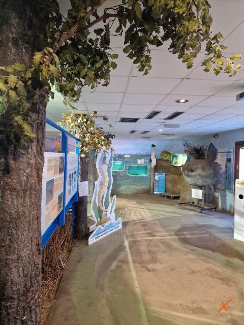 acquario-lagunare-riserva-naturale-valle-canal-novo-explorerfvg (11)