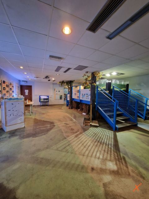 acquario-lagunare-riserva-naturale-valle-canal-novo-explorerfvg (2)