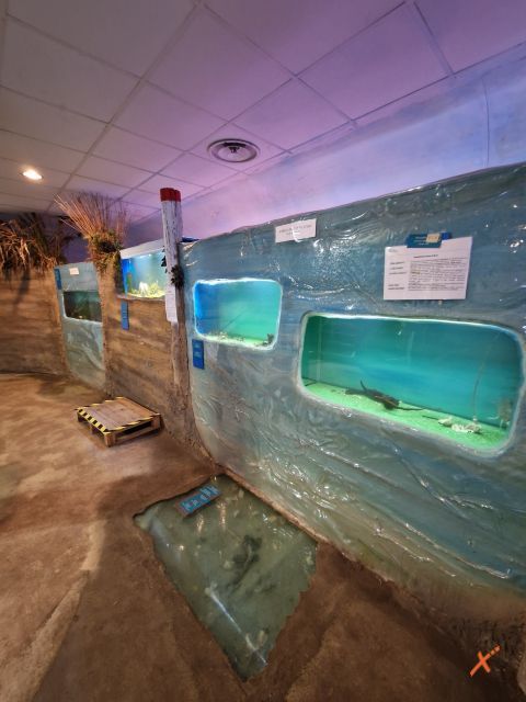 acquario-lagunare-riserva-naturale-valle-canal-novo-explorerfvg (5)