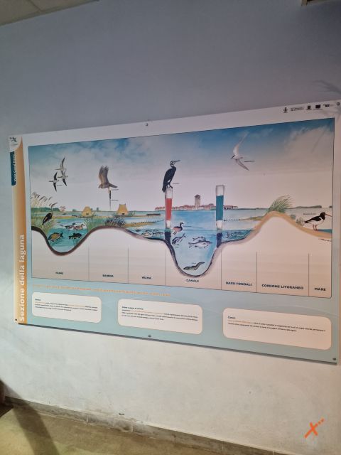 acquario-lagunare-riserva-naturale-valle-canal-novo-explorerfvg (6)