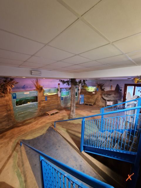 acquario-lagunare-riserva-naturale-valle-canal-novo-explorerfvg (7)