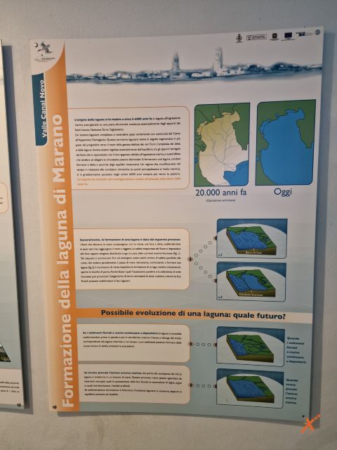 acquario-lagunare-riserva-naturale-valle-canal-novo-explorerfvg (9)