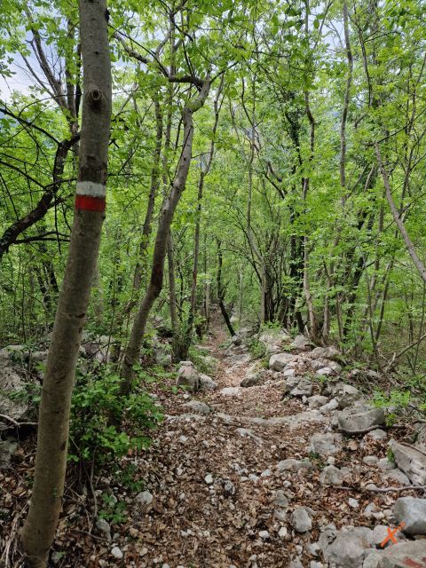 avvicinamento-forte-monte-festa-explorerfvg (12)