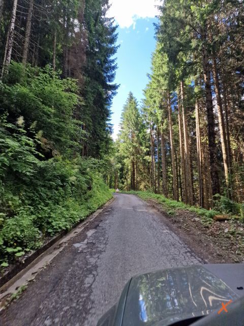 avvicinamento-malga-chiadinas-explorerfvg (1)