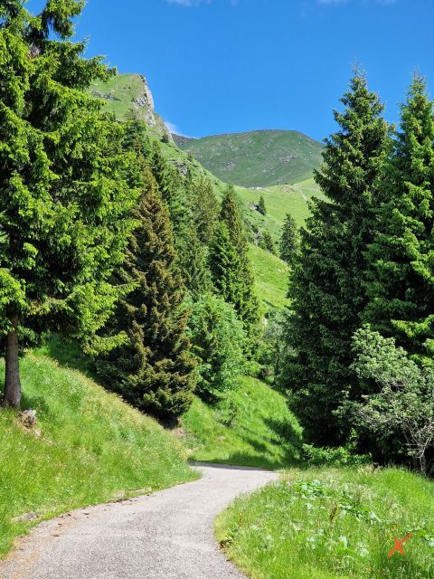 avvicinamento-malga-chiadinas-explorerfvg (3)