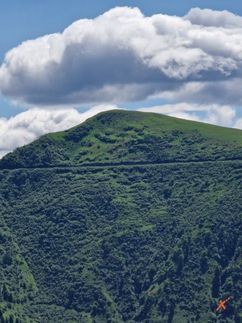 avvicinamento-malga-chiadinas-explorerfvg (4)