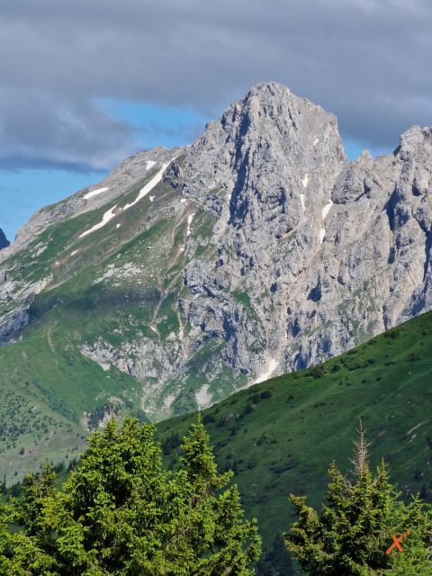 avvicinamento-malga-chiadinas-explorerfvg (6)