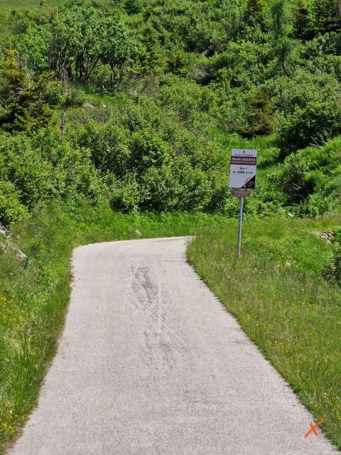 avvicinamento-malga-chiadinas-explorerfvg (7)