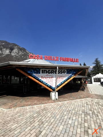 borgo-di-bordano-farfalle-explorer-fvg (1)