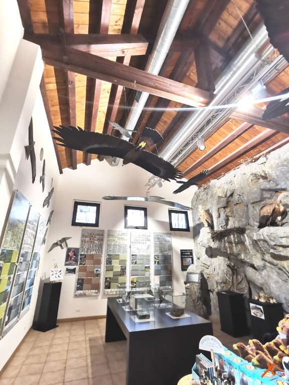 centro-visite-progetto-grifone-cornino-explorerfvg (1)