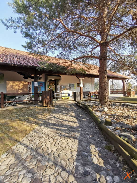 centro-visite-progetto-grifone-cornino-explorerfvg (12)