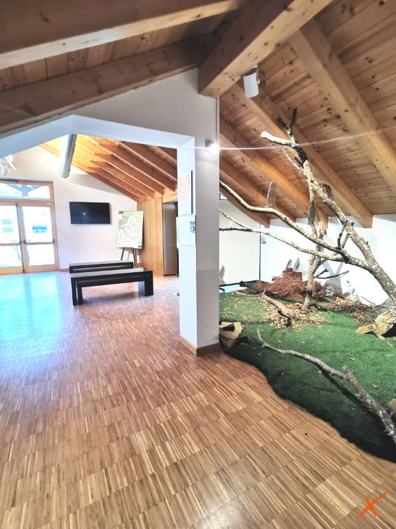 centro-visite-progetto-grifone-cornino-explorerfvg (3)