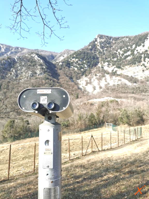 centro-visite-progetto-grifone-cornino-explorerfvg (4)