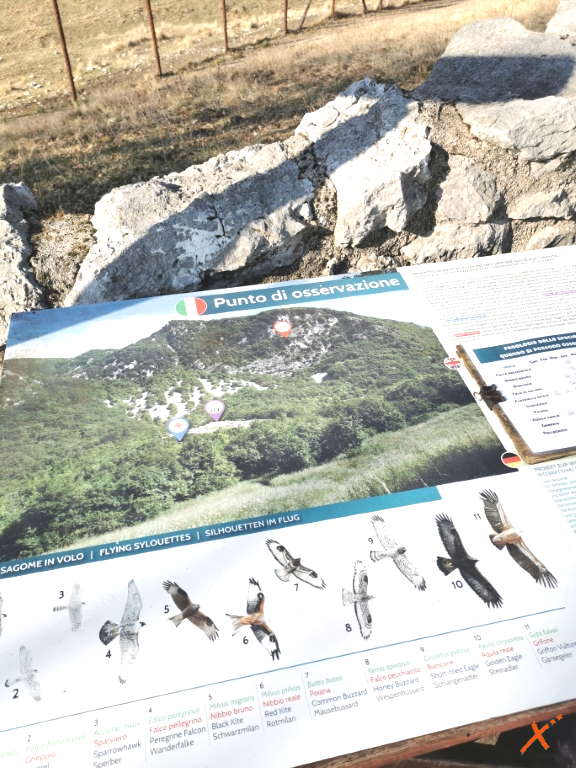 centro-visite-progetto-grifone-cornino-explorerfvg (5)