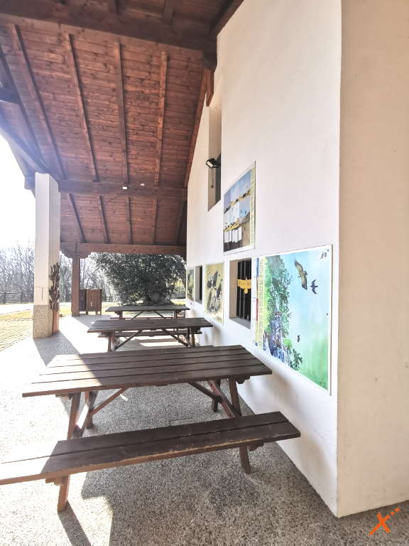 centro-visite-progetto-grifone-cornino-explorerfvg (8)