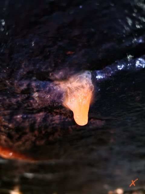 concrezioni-miniera-di-cludinico-explorerfvg (2)