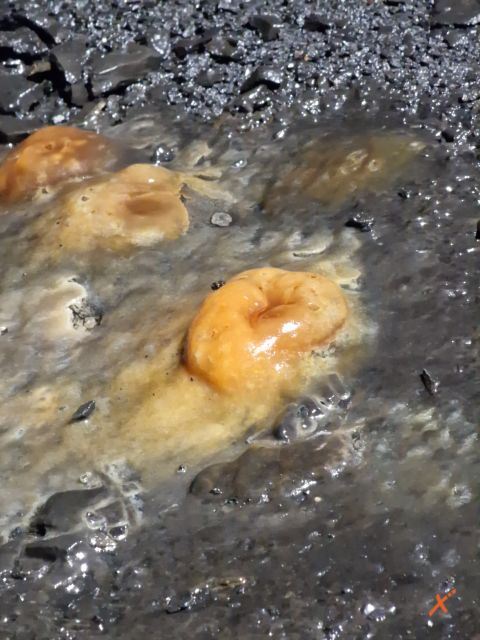 concrezioni-miniera-di-cludinico-explorerfvg (4)