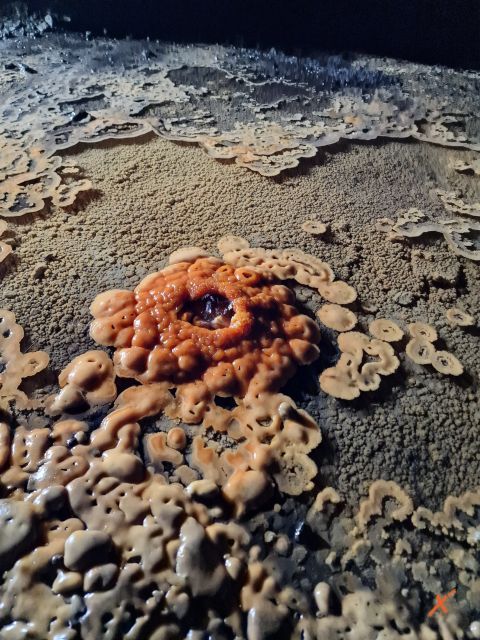 concrezioni-miniera-di-cludinico-explorerfvg (5)