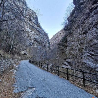 IMG_20220108_103512-01