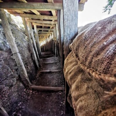 IMG_20220710_120744-01