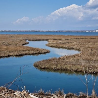 isola-della-cona-explorerfvg (8)-min