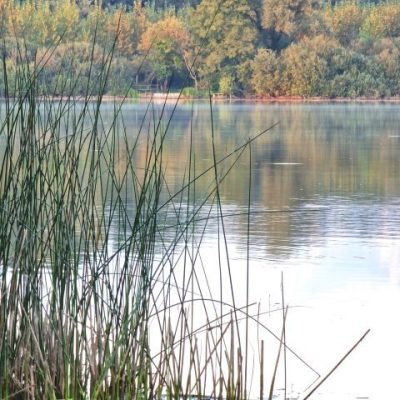 lago-di-ragogna-2023-explorerfvg (11)