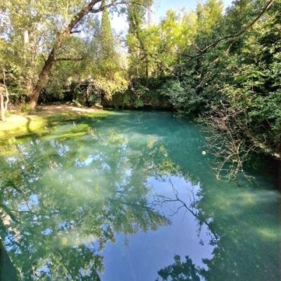 risorgive-del-timavo-explorerfvg (1)