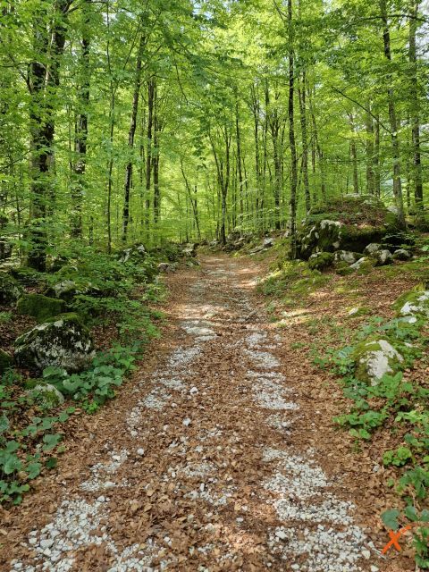 fontanone-barman-avvicinamento-explorerfvg-5