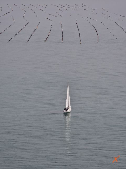 golfo-di-trieste-riserva-falesie-di-duino-explorerfvg (6)