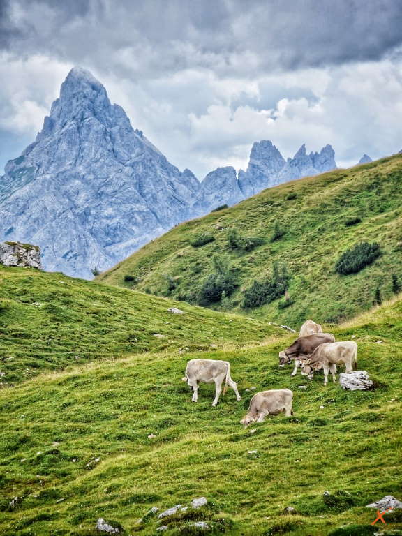 laghi-d-olbe-explorerfvg (5)