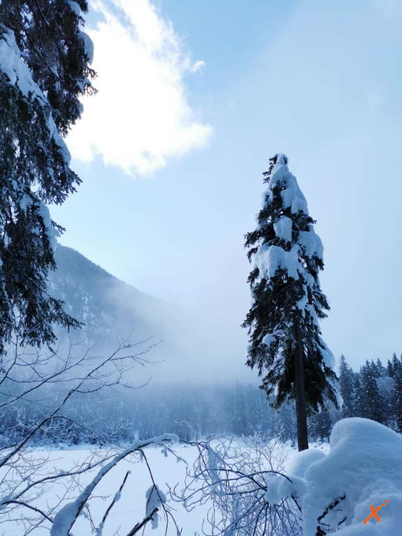 laghi-di-fusine-inverno-explorerfvg (9)