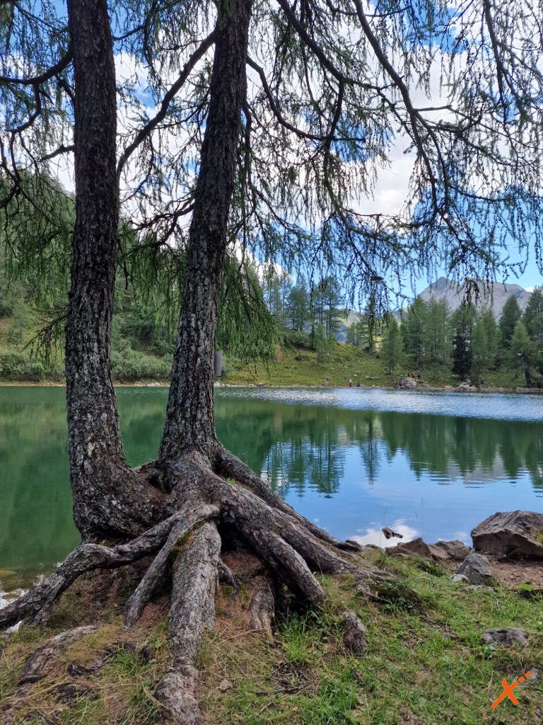 lago-di-bordaglia-pierabech-explorer-fvg (10)