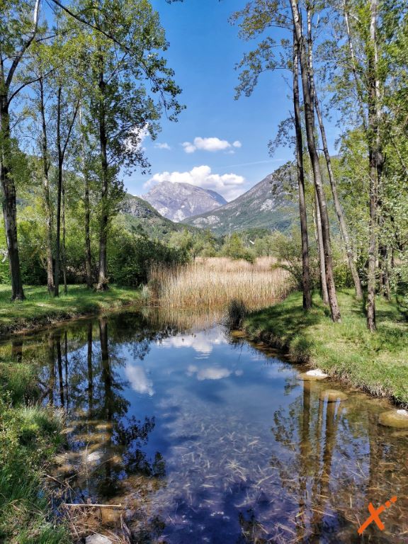 lago-di-cavazzo-explorer-fvg (13)