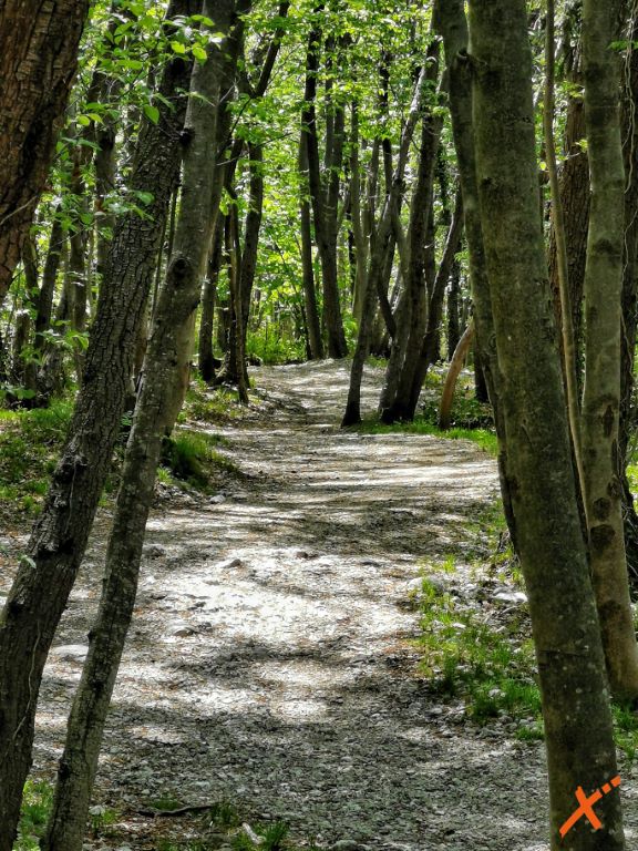 lago-di-cavazzo-explorer-fvg (4)