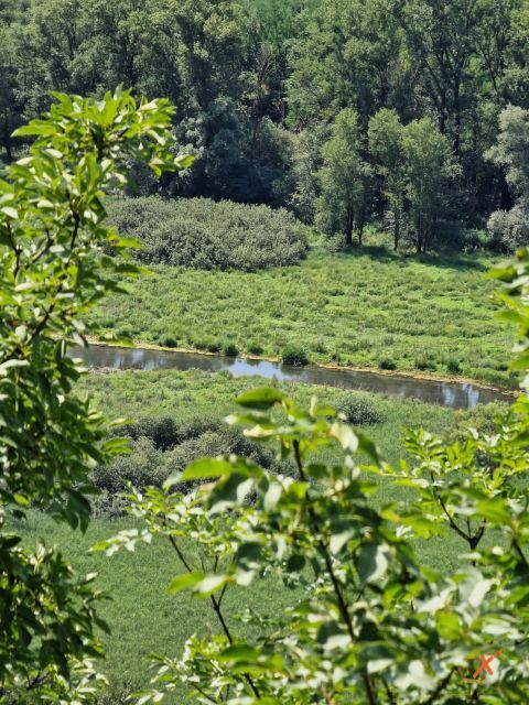 lago-di-doberdo-explorerfvg (1)