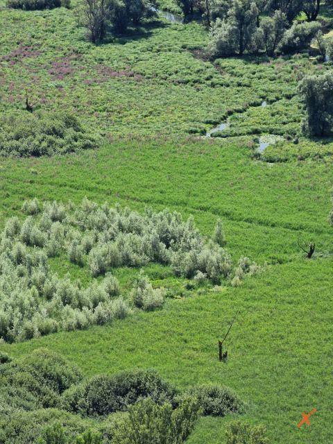 lago-di-doberdo-explorerfvg (3)