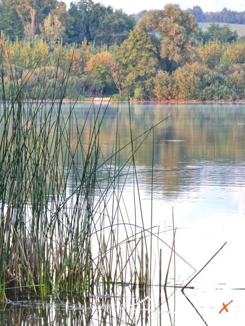 lago-di-ragogna-2023-explorerfvg (11)