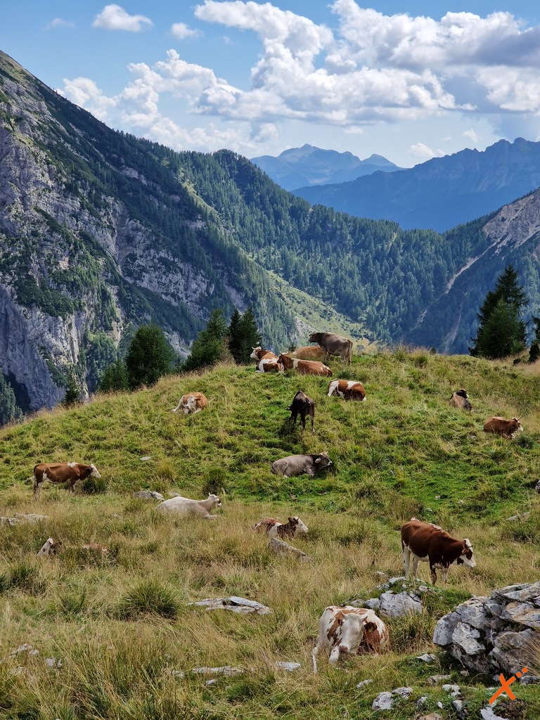 lago-pera-bordaglia-explorer-fvg (1)