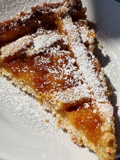 malga-poccet-explorerfvg (12)