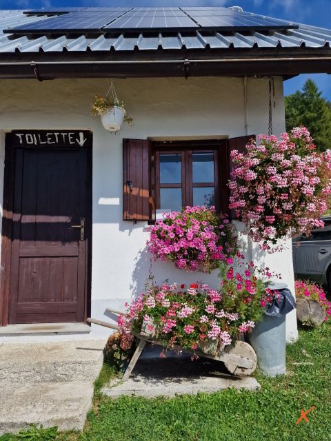 malga-poccet-explorerfvg (16)