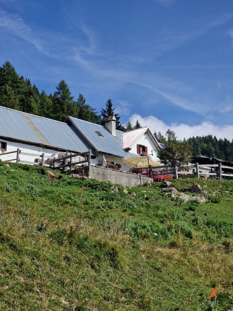 malga-poccet-explorerfvg (17)