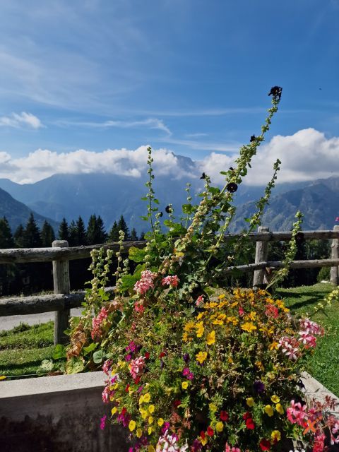 malga-poccet-explorerfvg (2)