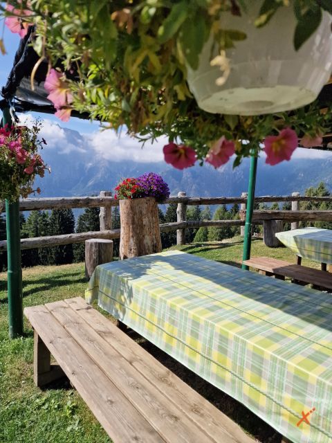 malga-poccet-explorerfvg (4)