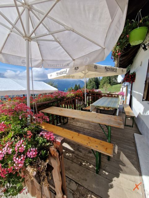 malga-poccet-explorerfvg (5)