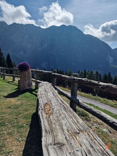 malga-poccet-explorerfvg (7)