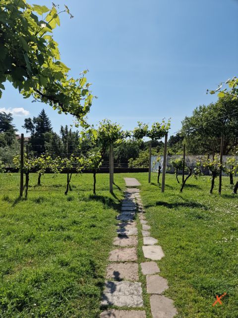 monastero-di-santa-maria-cividale-del-friuli-explorerfvg (3)